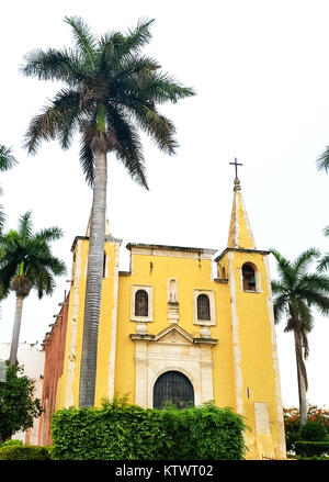 Cathédrale Santa Anna à Mérida au Mexique avec des palmiers Banque D'Images
