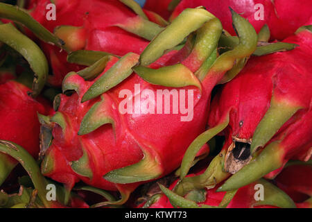 Close up plusieurs rouge mûre pitaya ou fruit du dragon pitaya blanc sur l'étal du marché, high angle view Banque D'Images