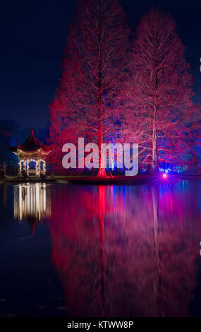 Les lumières d'arbre de Noël et la pagode à RHS Wisley Gardens, Surrey, Angleterre. Bougies de Noël 2017 Festival Banque D'Images