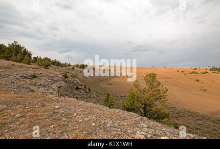 Coucher de soleil sur verre d'Canyon vu de Tillett Ridge dans les Montagnes Pryor sur la ligne d'État du Montana Wyoming - United States Banque D'Images