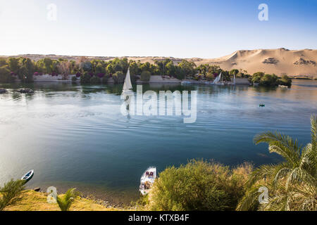 Vue sur la rivière du Nil et le jardin botanique sur l'Île Kitchener, Aswan, Égypte, l'Égypte, l'Afrique du Nord, Afrique Banque D'Images