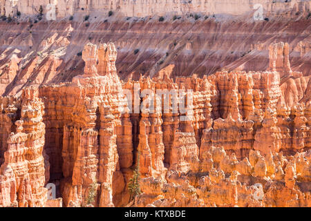 Avis de hoodoo formations de la boucle Navajo Trail dans le Parc National de Bryce Canyon, Utah, États-Unis d'Amérique, Amérique du Nord Banque D'Images