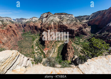 Vue sur la vallée d'Angel's Landing Trail dans Zion National Park, Utah, États-Unis d'Amérique, Amérique du Nord Banque D'Images