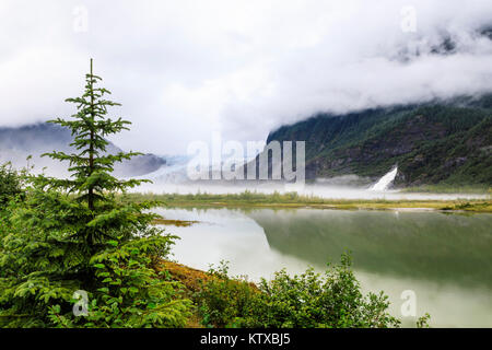 Forest mist et réflexions, Mendenhall Glacier et Lac et Nugget Falls Cascade, forêt nationale de Tongass, Juneau, Alaska, États-Unis d'Amérique, Banque D'Images