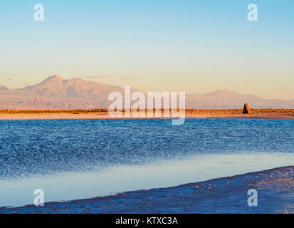 Piedra Laguna au coucher du soleil, Salar de Atacama, région d'Antofagasta, Chili, Amérique du Sud Banque D'Images