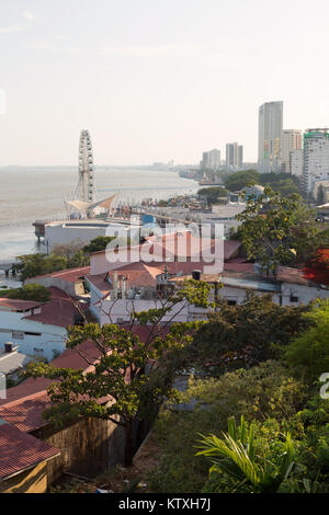 Guayaquil - vue du bord de l'eau ( Malecon ) à partir de la colline de l'Ana, Guayaquil, Equateur Amérique du Sud Banque D'Images