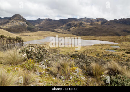 L'Equateur paysages - Parc National El Cajas, ( Parque Nacional Cajas ), Cuenca, Equateur Amérique du Sud Banque D'Images