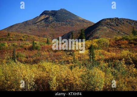 Montagne Goldensides, automne, le parc territorial Tombstone, au large de l'autoroute Dempster, Yukon, Canada Banque D'Images