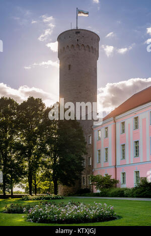 Pikk Hermann Hermann haut ou la tour du château de Toompea, sur la colline de Toompea à Tallinn, capitale de l'Estonie Banque D'Images