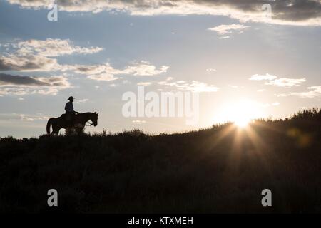 Un cowboy chevauche son cheval près de la partie supérieure de la rivière Missouri et National Scenic River dans la partie supérieure de la rivière Missouri Breaks National Monument le 29 juin 2017 près de Lewistown, Montana. Banque D'Images