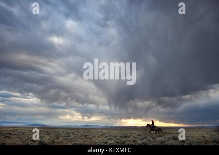 Un cowboy rides leur cheval dans le Pony Express National Historic Trail Le 14 septembre 2010 dans le Wyoming. Banque D'Images