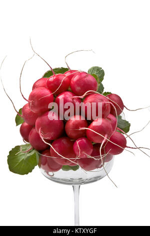 Bouquet de radis dans grand verre sur fond blanc Banque D'Images