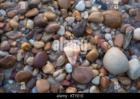 Différentes roches éparpillées sur Moana Beach en Australie du Sud Banque D'Images