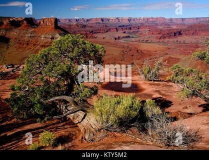 Les canyons de roche entourent le supérieur du Colorado River Loisirs au supérieur du Colorado River Recreation Area 24 septembre 2006 dans l'Utah. Banque D'Images