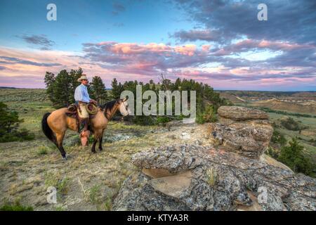 Un cowboy chevauche son cheval près de la partie supérieure de la rivière Missouri et National Scenic River dans la partie supérieure de la rivière Missouri Breaks National Monument le 29 juin 2017 près de Lewistown, Montana. Banque D'Images