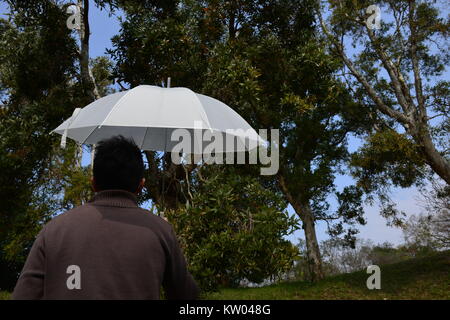 Tout l'amour, la vie est tout ce Banque D'Images