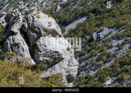 En forme de tête de singe rock sur falaise sur la montagne du Velebit en Croatie Banque D'Images