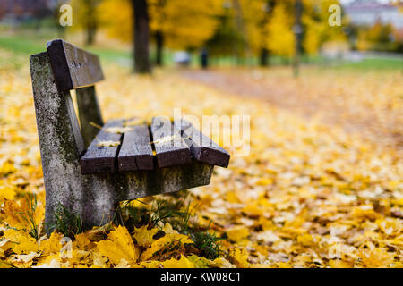 Couleurs d'automne à Vigelandsparken à Oslo, Norvège. Banque D'Images