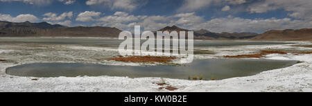 Montagne de Sel lac Tso Kar : parmi les dépôts blancs de sel de roche blue waters, îlots de végétation rouge avec, en arrière-plan montagnes, panorama photo Banque D'Images