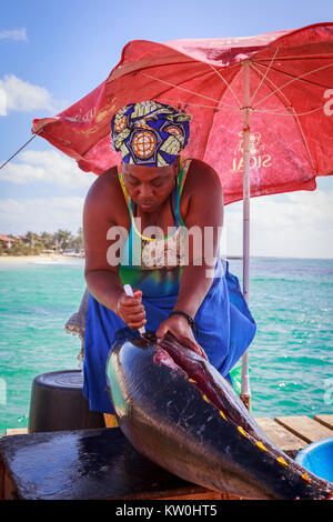 Femme de la région d'éviscération et de fileter un poisson thon fraîchement pêché, sur la jetée de Santa Maria, île de Sal, Salina, Cap Vert, Afrique Banque D'Images