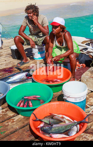 Les sections locales de vendre des poissons fraîchement pêchés dans la jetée en bois à Santa Maria, île de Sal, Salina, Cap Vert, Afrique Banque D'Images