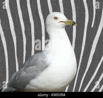 Seagull - abstract background rayé Banque D'Images