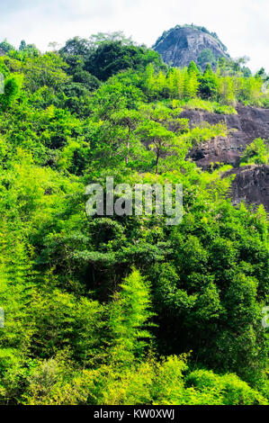 Les arbres et les falaises rocheuses bordant la neuf bend river ou à 56 Dongpo Wuyishan ou Le Mont Wuyi Wuyi dans la zone panoramique de la Chine dans la province du Fujian Banque D'Images