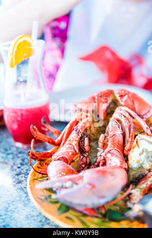 Gros plan macro de homards en shell et plateau de fruits de mer sur plaque avec boisson sans alcool rouge ou rose Banque D'Images