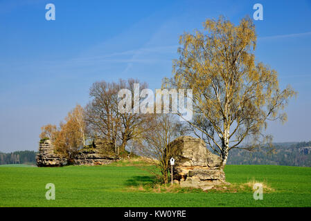 Elbsandsteingebirge, la Suisse Saxonne, monument naturel des pierres du hibou, Suisse Saxonne, Naturdenkmal Eulensteine Banque D'Images