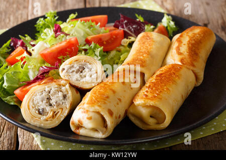 Rouleaux de crêpes avec du poulet, du fromage et des champignons close-up et de la salade de légumes frais sur une plaque horizontale. Banque D'Images