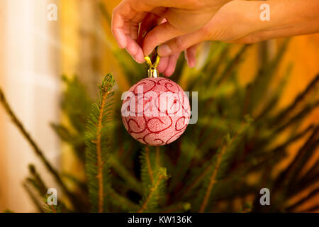 Woman's hand ball Noël rouge brillant suspendus sur la direction générale de l'arbre de Noël Banque D'Images