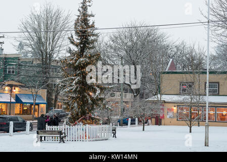 Groupe qui prend un photo selfies en face de l'arbre de Noël au fort Langley Community Hall à Fort Langley, Colombie-Britannique, Canada. Banque D'Images