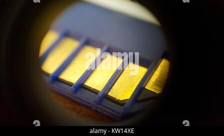 Image au microscope optique à environ 30x de grossissement montrant les contacts électriques plaqués sur une carte mémoire SD (Secure Digital), 2016. Banque D'Images