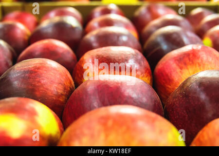 Sélectionné mûres Pommes gala énoncés dans les lignes à une épicerie à vendre. Arrière-plan coloré de pommes Gala. L'horizontale. La lumière du jour. Banque D'Images