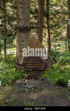 Memorial de Komańcza, la Ruthénie subcarpatique, voïvodie en Pologne. Banque D'Images