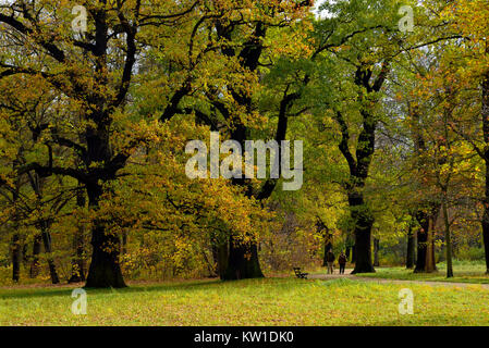 Dresde. Großer Garten im Herbst Banque D'Images