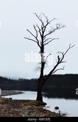 L'Écosse, les Trossachs paysage montagnes Banque D'Images