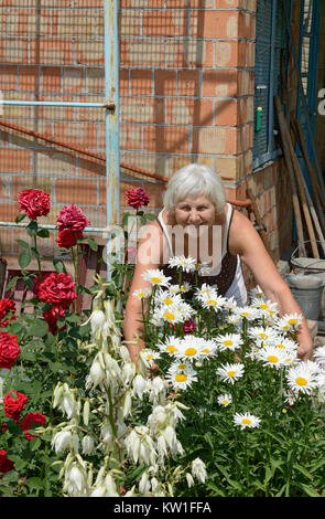 Portrait of smiling blonde woman c'est enrouler ses bras sur de nombreuses fleurs camomille sur lit de roses rouges et de la floraison du yucca commun en été Banque D'Images