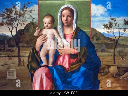 Vierge à l'enfant de Giovanni Bellini (c.1435-1516), huile sur toile, c.1510. Banque D'Images