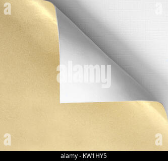 Page curl coin d'or Banque D'Images