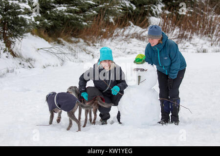 Denbighshire, UK. Dec 29, 2017. Météo britannique. Une vague de froid avec de la neige provoque des perturbations pour de nombreuses régions du nord de l'Angleterre, Pays de Galles, et l'Ecosse avec un peu de profiter de l'hiver autour de Llyn Brenig dans Denbighshire Crédit : DGDImages/Alamy Live News Banque D'Images