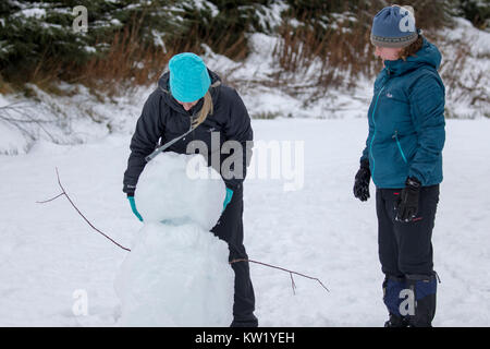 Denbighshire, UK. Dec 29, 2017. Météo britannique. Une vague de froid avec de la neige provoque des perturbations pour de nombreuses régions du nord de l'Angleterre, Pays de Galles, et l'Ecosse avec un peu de profiter de l'hiver autour de Llyn Brenig dans Denbighshire Crédit : DGDImages/Alamy Live News Banque D'Images