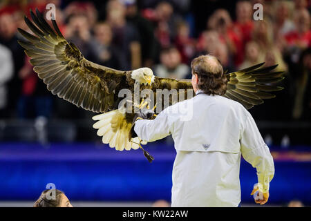 Arlington, Texas, USA. Dec 29, 2017. Au cours d'un pygargue à tête blanche à la Goodyear arborant Cotton Bowl NCAA College Football Bowl Classic match entre l'état de l'Ohio et de l'USC le vendredi 29 décembre 2017 à AT&T Stadium à Arlington, TX. Credit : Cal Sport Media/Alamy Live News Banque D'Images