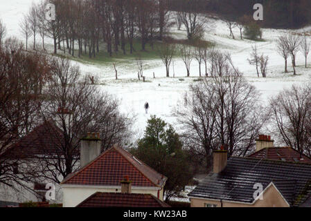 Glasgow, Scotland, UK 30 décembre.UK Météo : neige lourde chute hier a laissé une couche de neige dans la ville avec la promesse de plus mauvais temps que les sections locales dont jouissent la neige sur knightswood de golf. Gerard crédit Ferry/Alamy Live News Banque D'Images