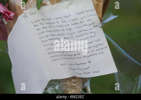 Finsbury Park, Londres, UK. 30 Décembre, 2017. Tributs floraux à l'entrée de Finsbury Park au nord de Londres pour Iuliana Tudos 22, qui a été retrouvé poignardé et avec une blessure à la tête à Finsbury Park le mercredi après-midi, 27 décembre 2017, trois jours après qu'elle avait été vu. Credit : Dinendra Haria/Alamy Live News Banque D'Images