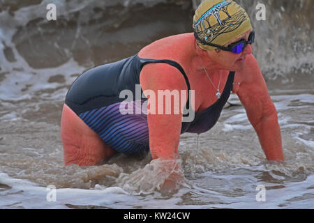 Clevedon, UK. 30 Décembre, 2017. Météo britannique. Par une froide fin d'après-midi orageux seulement le brave monter à l'automne dans ou sortir de la la mer à Clevedon, North Somerset. Robert Timoney/Alamy Live News Banque D'Images