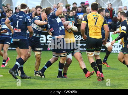 Bedford, Royaume-Uni. 30 Décembre, 2017. Action de la Greene King IPA Championship match de rugby entre Bedford Blues et Ealing au Trailfinders Goldington Road, Bedford, Royaume-Uni devant une foule de 3 401 le 30 décembre 2017. Score final 23-24 Bedford Ealing Photo par Keith Mayhew/Alamy Live News Banque D'Images