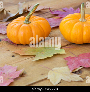 Les citrouilles et les feuilles d'automne sur une surface en bois Banque D'Images