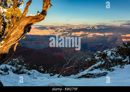 L'hiver de rim Moran Point donne sur le Grand Canyon au lever du soleil. Banque D'Images