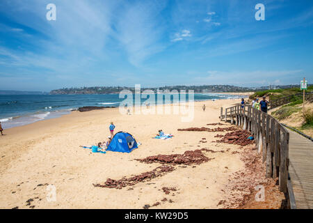 Vue le long long Reef Beach à vers Dee Pourquoi sur plages du nord de Sydney, Nouvelle Galles du Sud, Australie Banque D'Images